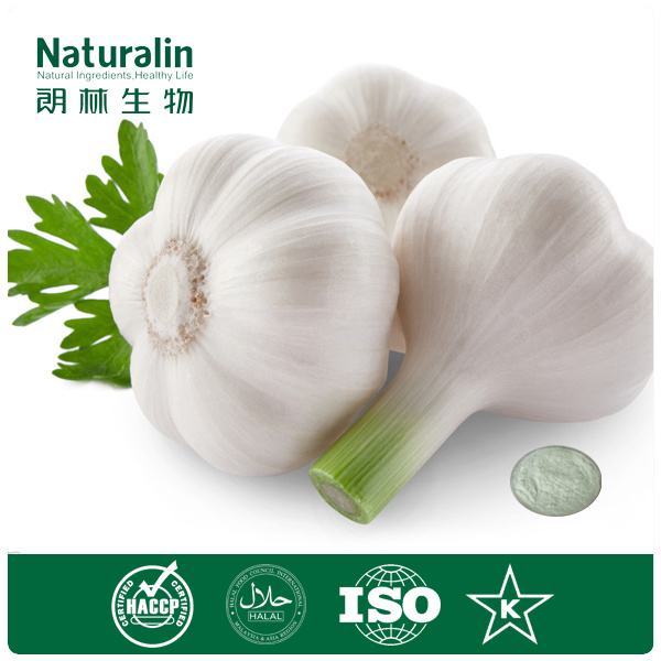 Hot Sale Garlic Extract for Personal Care Products