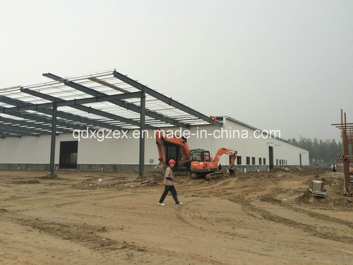Prefabricated Steel Structure Building (SSW-202)