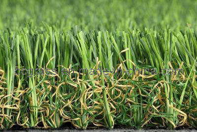 Landscaping Grass for Houses