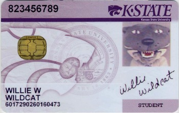 Good Quality & Competitive Price Smart Chip Card Factory in Shenzhen China