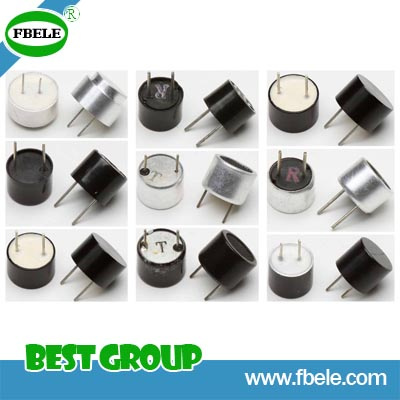 Piezo Ceramic Element Ultrasonic Sensor (FBULS1612)