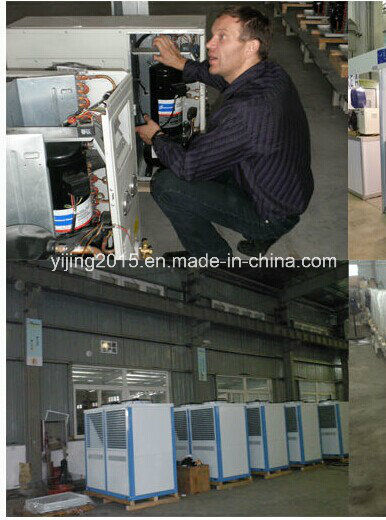 Prefab Refrigerator Chiller Walk in Cool Cooler/Freezer Units Walk in Cold Room, Walk in Cooler, Walk in Freezer