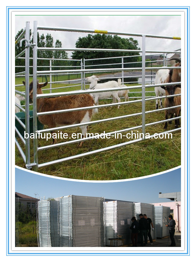 Livestock Product Sheep Hurdles