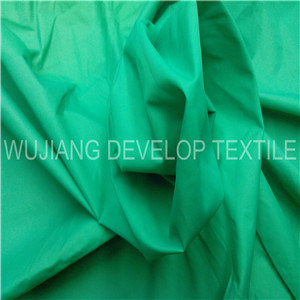300t Nylon Polyamide Taffeta Fabric for Garment Fabric/Down Bag/Down Jacket (DN2025)