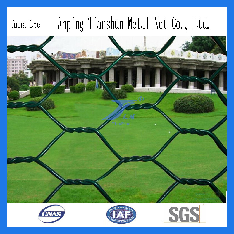 High Quality Hexagonal Wire Mesh (factory)