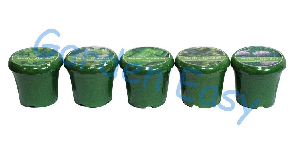 3.5 Inch Biodegradable Planting Pot (904001) 