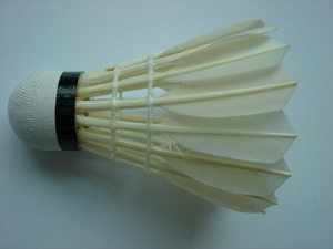Match Grade Badminton Feather Shuttlecock (C777)