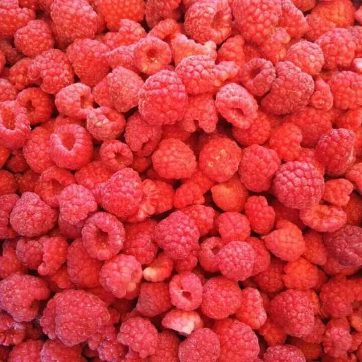 High Quality New Season IQF Frozen Fruits Raspberry