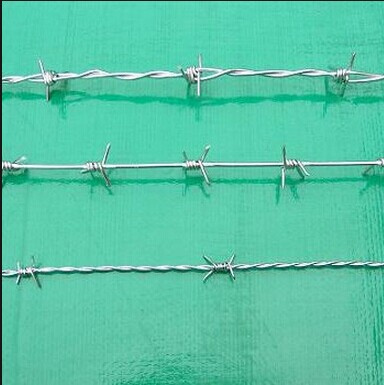 Security Fence/ Barbed Wire Mesh