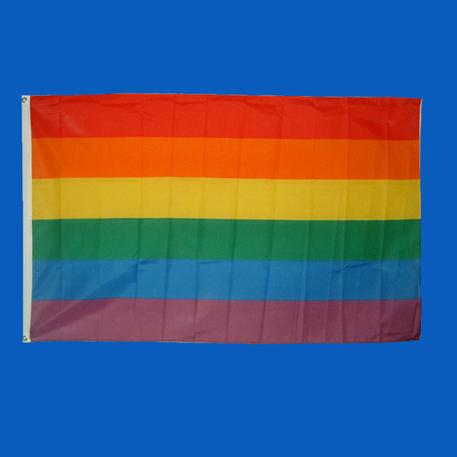 Outdoor Custom-Made Flag (Y6001)