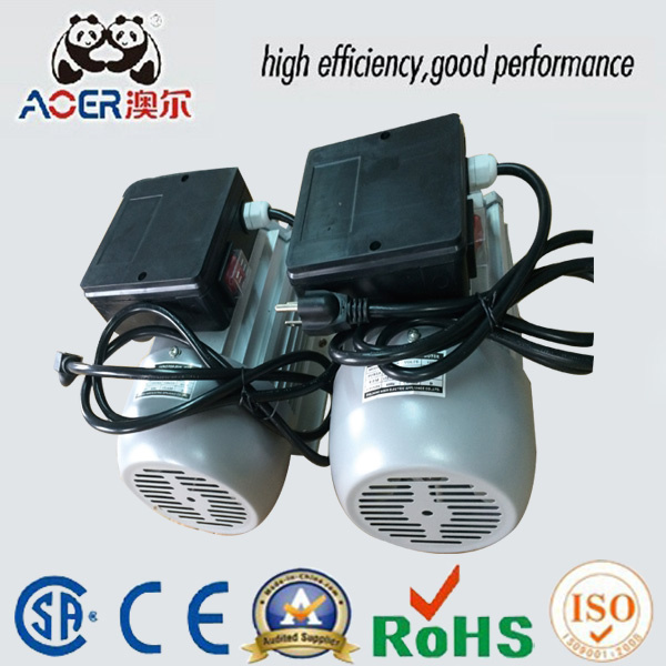Single Phase Asynchronous AC Electric Motor with Reducer