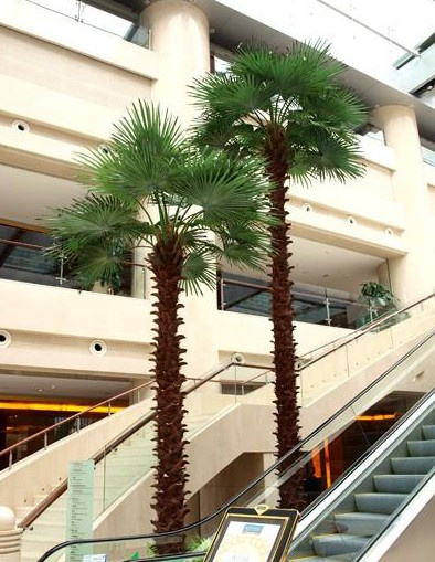 Artificial Palm Tree
