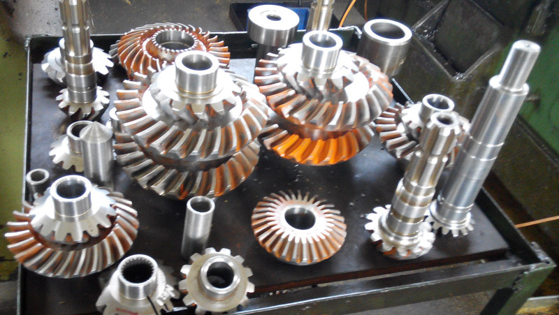Customized Casting/Forging Gear