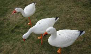 XPE Foam Foldable Material Winter Goose Hunting Decoy / Snow Goose/