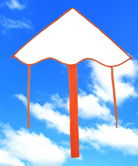 Kite