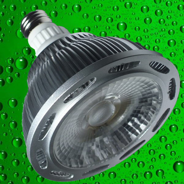 15W E27 Spot Lamp with Die Casting Aluminium Housing (YY-COB-1015-PAR38-E27)