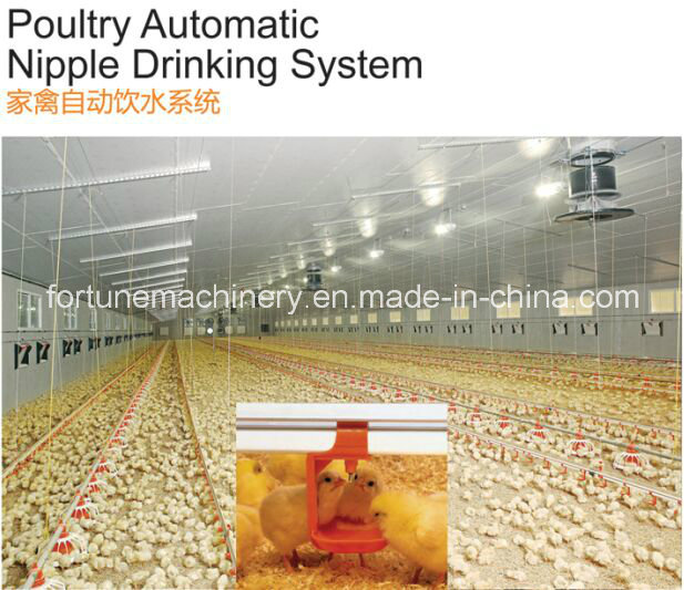 Poultry Automatic Nipple Drinking System