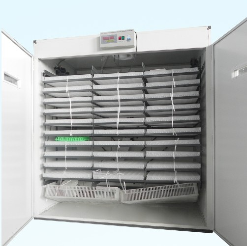 Incubator 5280 Eggs Incubator Hatching Machine
