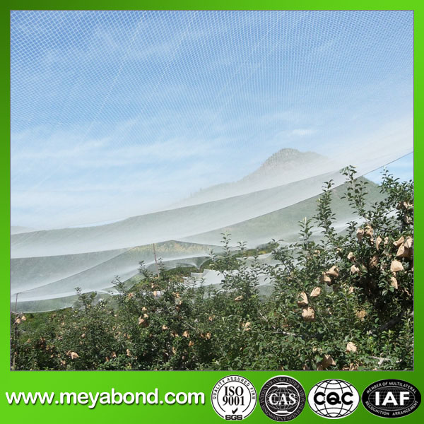 Apple Tree Anti Hail Net/Plastic Anti Hail Net/Hail Net
