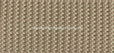 Canvas Webbing