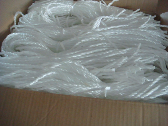 Pp Rope