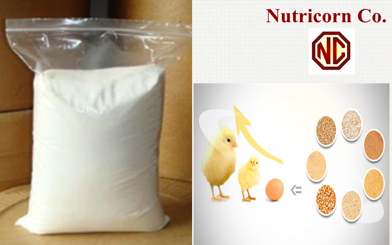 L-Tryptophan Threonine Animal Feed Additive Complete Feed