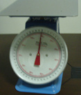 Platform Scale