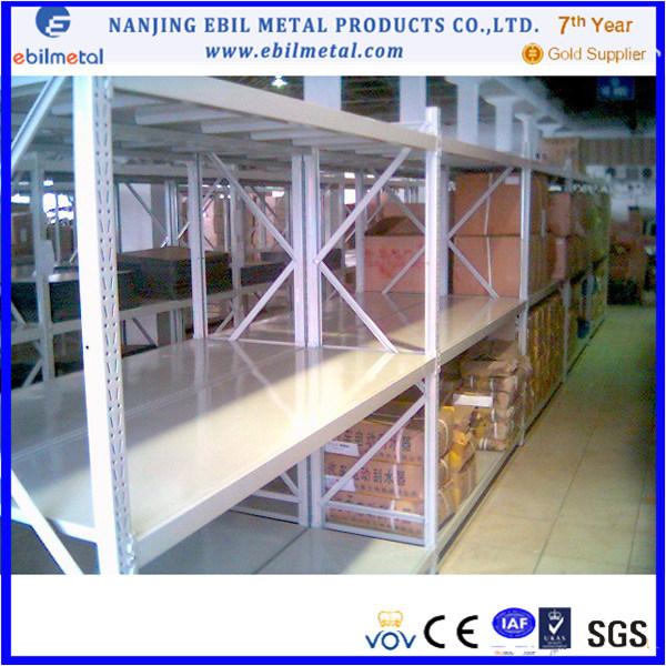 CE-Certificated High-End Long Span Racking (BEIL-ZXHJ)
