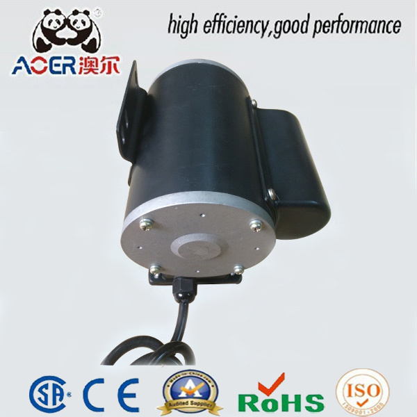 NEMA 48 UL CSA Electric Induction Motors Low Voltage