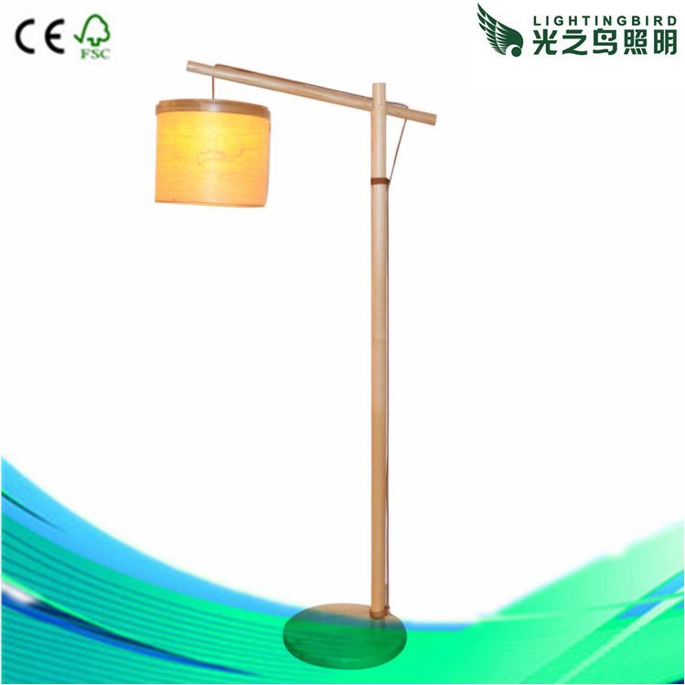 Hot Sale Modern Top Decoration Floor Light with CE Approved (LBMD-WN)