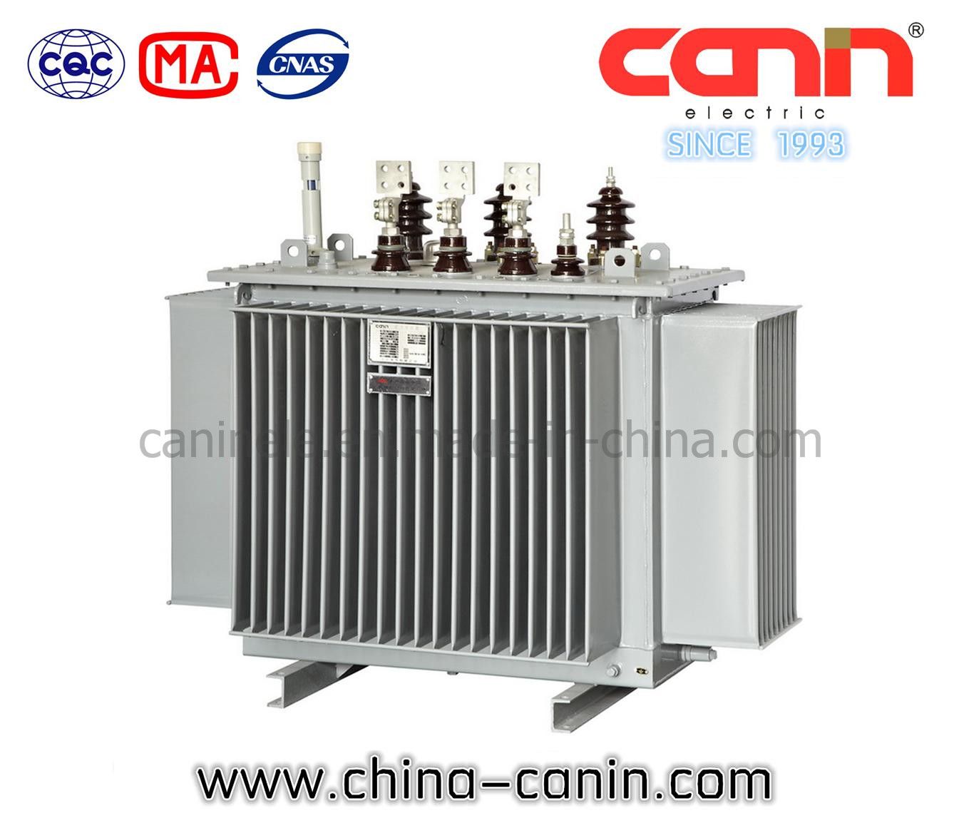 6~11kv Duplex Winding Oil Immersed Distributing Transformer With off-Circuit Tap Changing