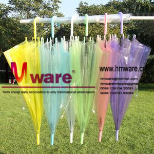 Transparent Umbrella