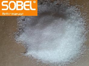 Sobel Initial Fertilizer