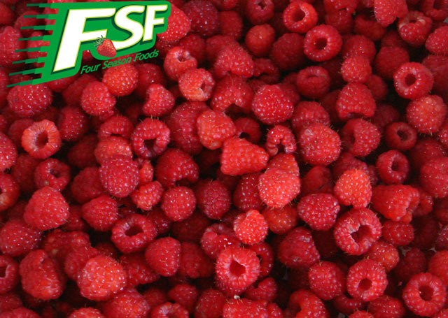 New 2014 Crop IQF Raspberry