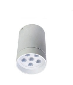 LED Ceiling Light (DLS-C1012)