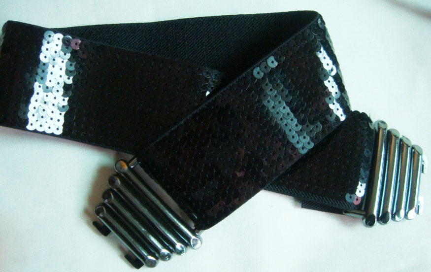Fashion Fancy Elastic Belts GC2012299