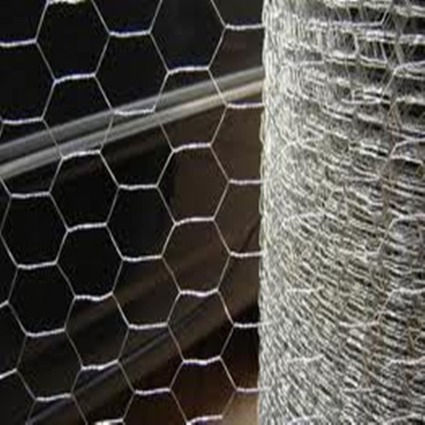 Galvanized Chicken Wire Netting for Poultry Farms