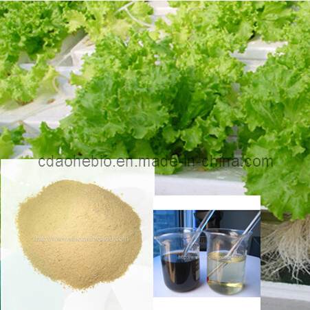 Green Fertilizer for All Crops Chelated Multi-Elements