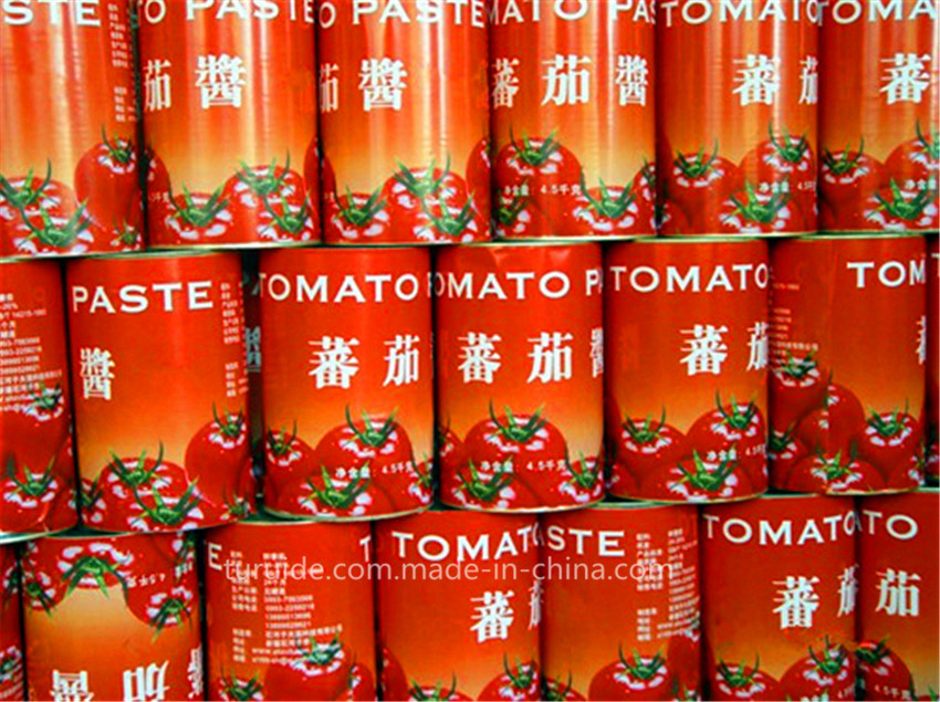 100% Fresh Tomato China Factory Export Drum Tomato Paste Fruit