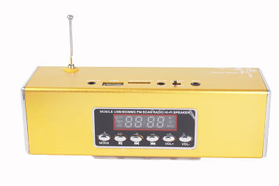 Multi Card Reader Speaker (DS-WS-328)