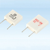 Rgc (RX27-6) Power Wirewound Variable Resistor with ISO 9001