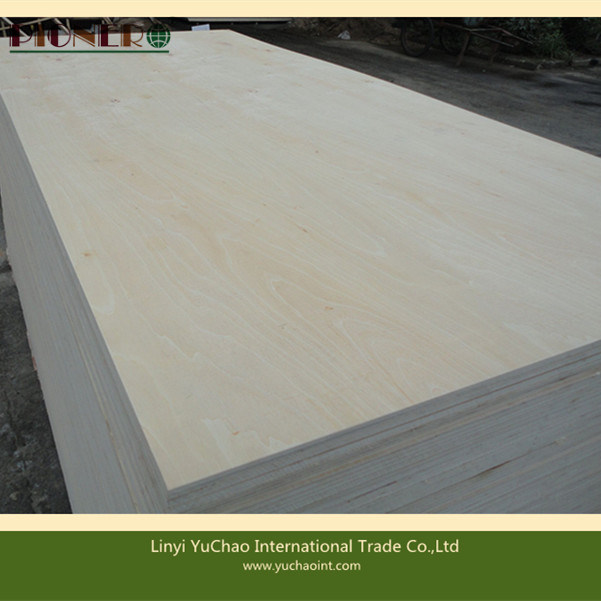 E/E Grade White Birch Plywoods (PIN034)