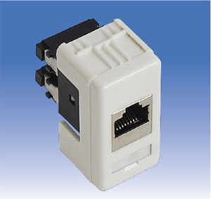 Network Socket
