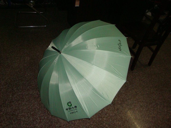 Umbrella