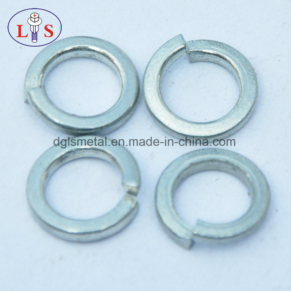 Fastener/Washer/Spring Washer with Good Quality