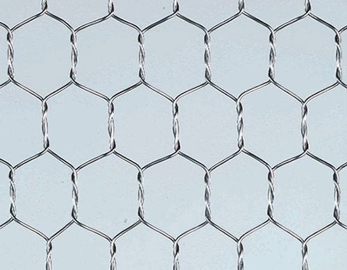 Hot-Dipped Galvanized Hexagonal Wire Mesh