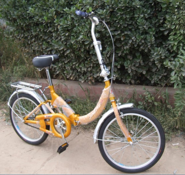 Folding Bicycle F06