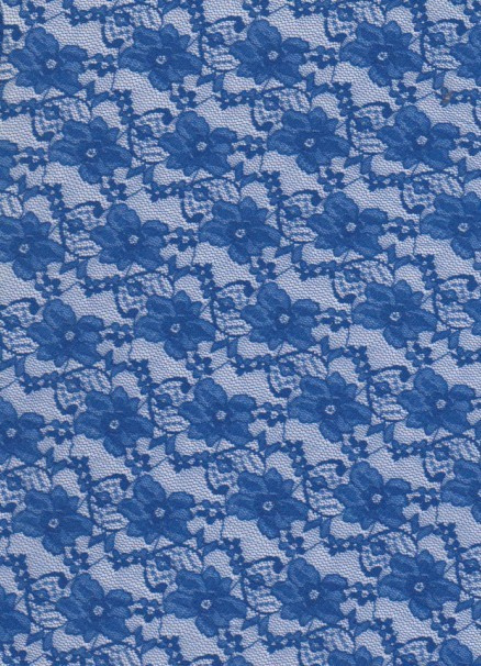 Lycra Lace Fabric 26505
