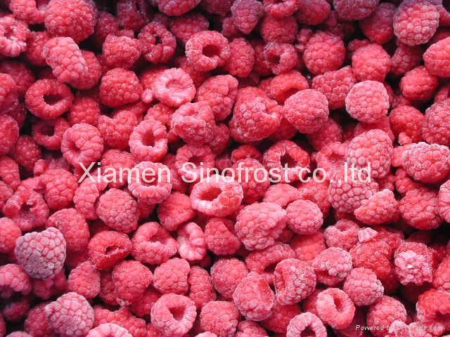 IQF Raspberries, Frozen Raspberries, Cultivated/Wild