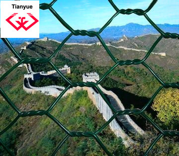 Hexagonal Wire Mesh Netting (TYH)